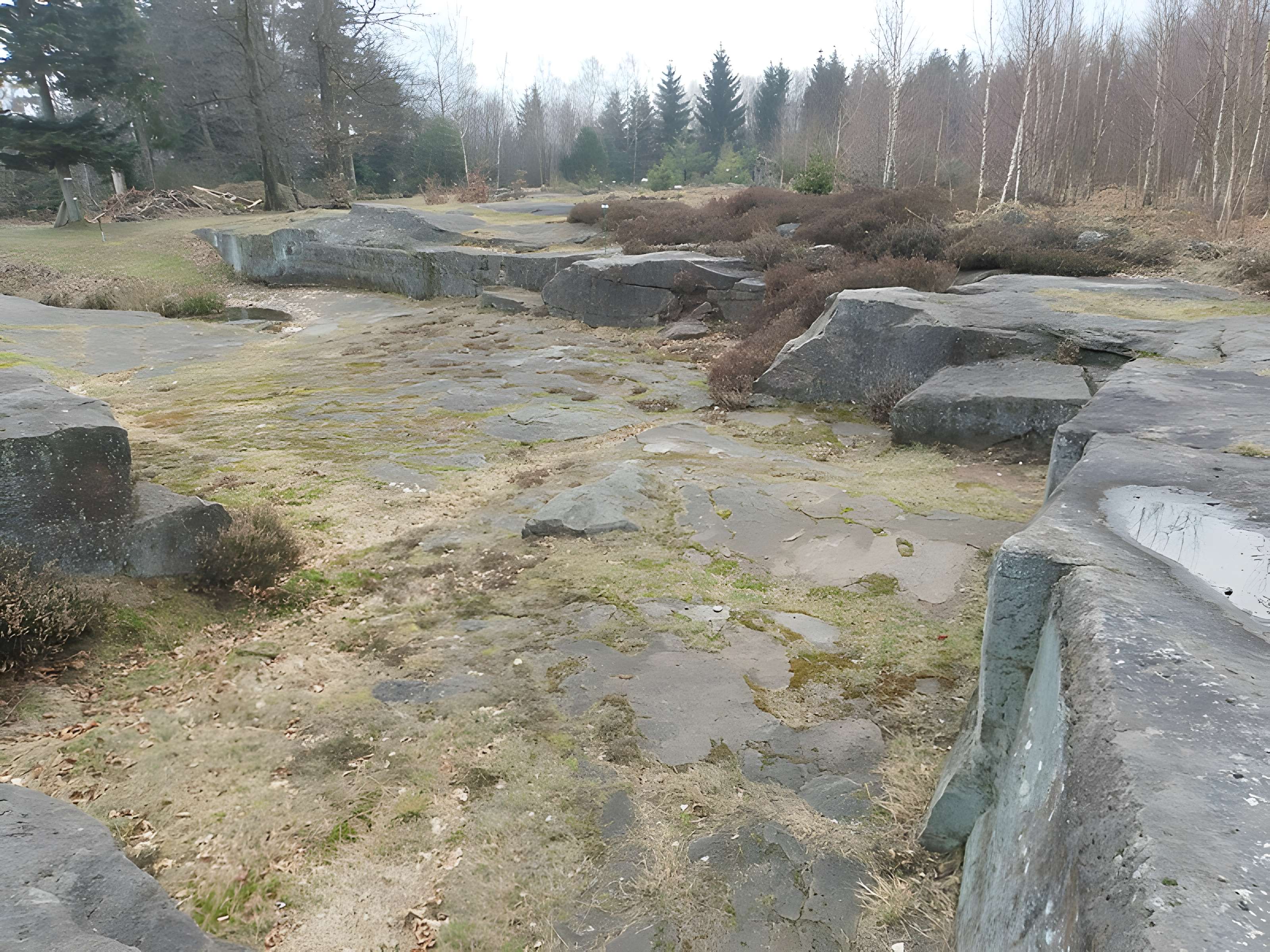 Site archéologique de la Croix-Guillaume à Saint-Quirin