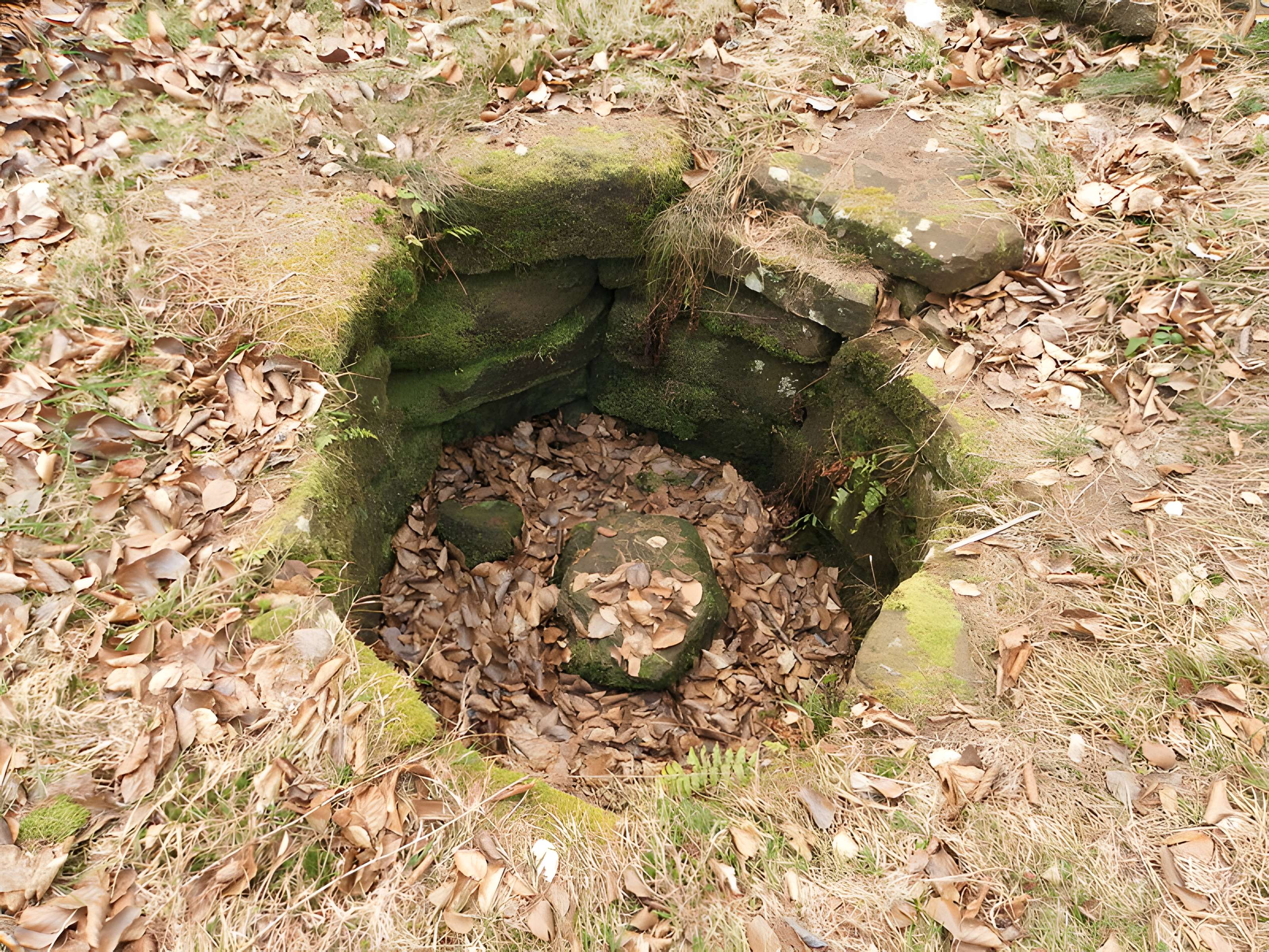 Site archéologique de la Croix-Guillaume à Saint-Quirin
