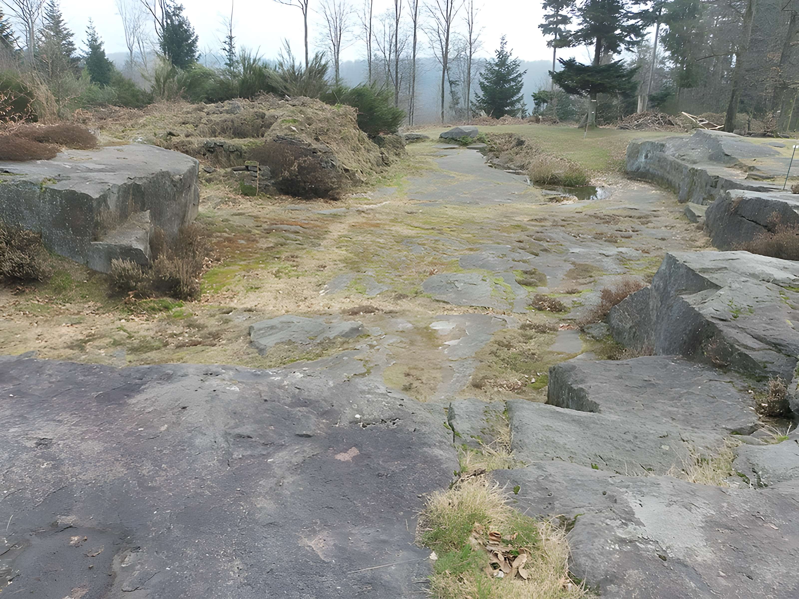 Site archéologique de la Croix-Guillaume à Saint-Quirin