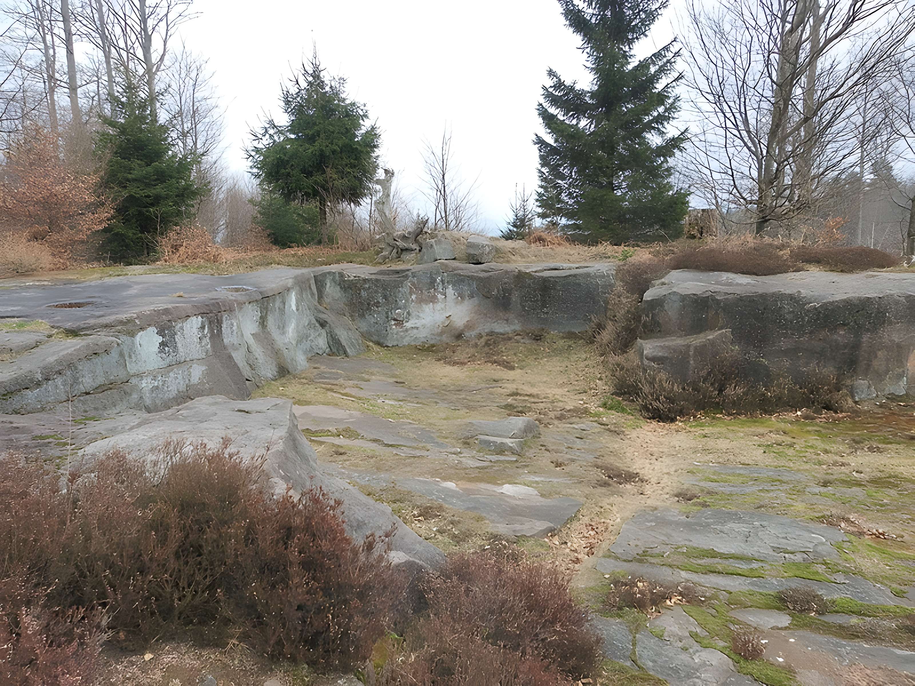 Site archéologique de la Croix-Guillaume à Saint-Quirin