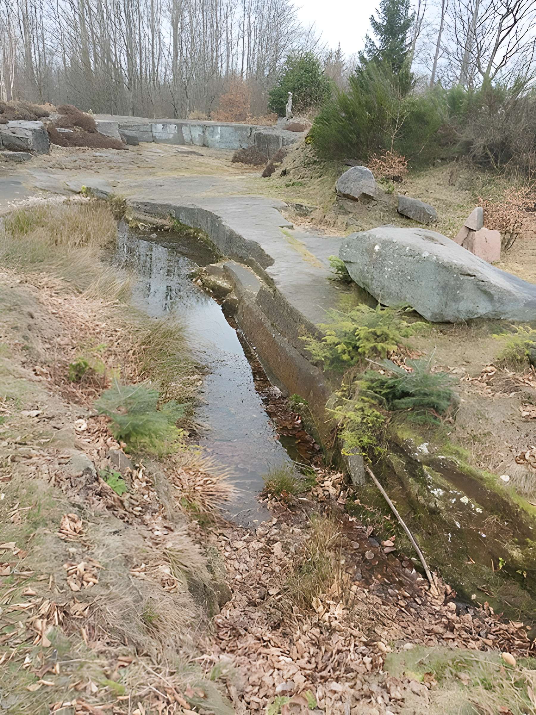 Site archéologique de la Croix-Guillaume à Saint-Quirin