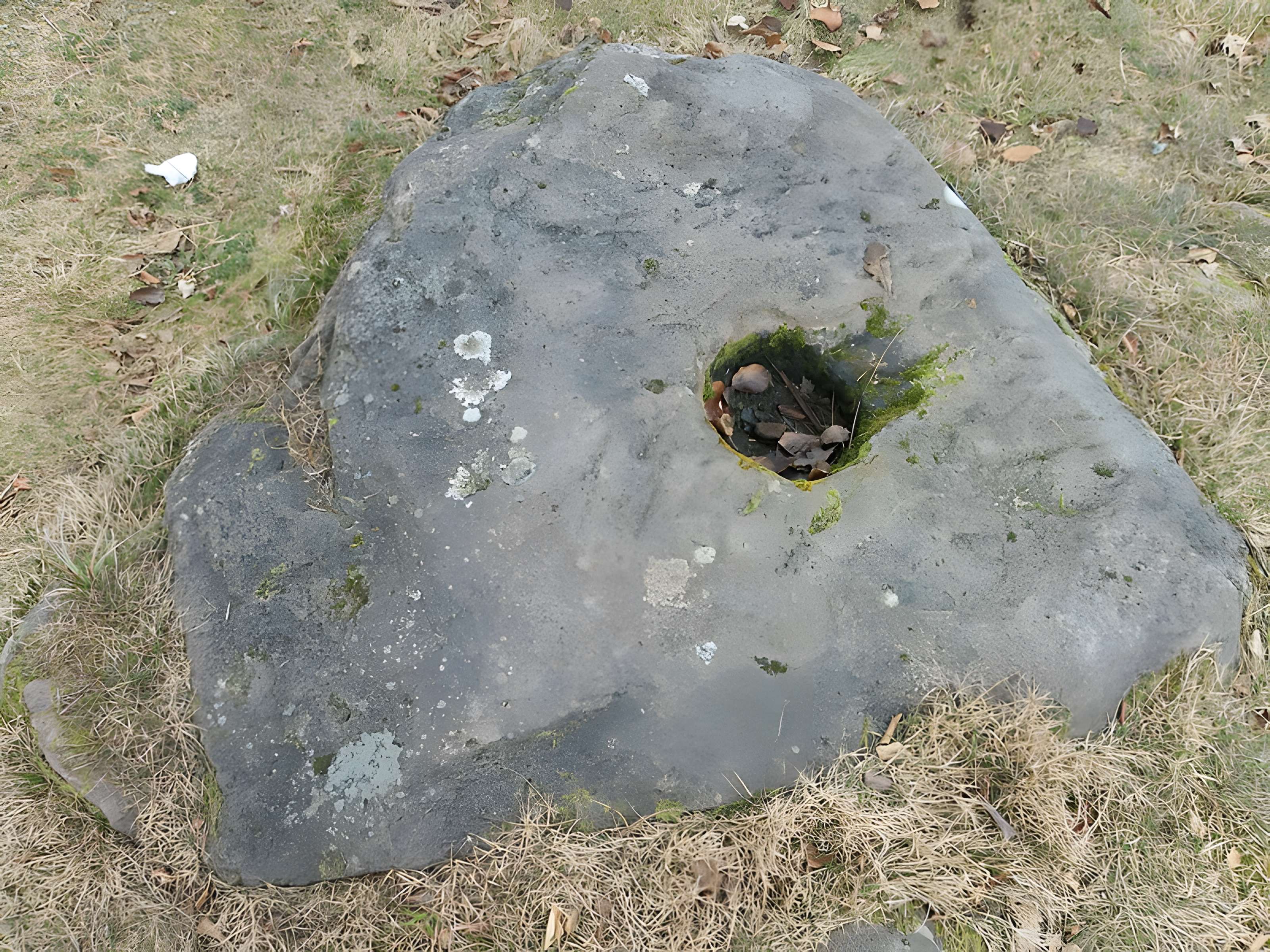 Site archéologique de la Croix-Guillaume à Saint-Quirin