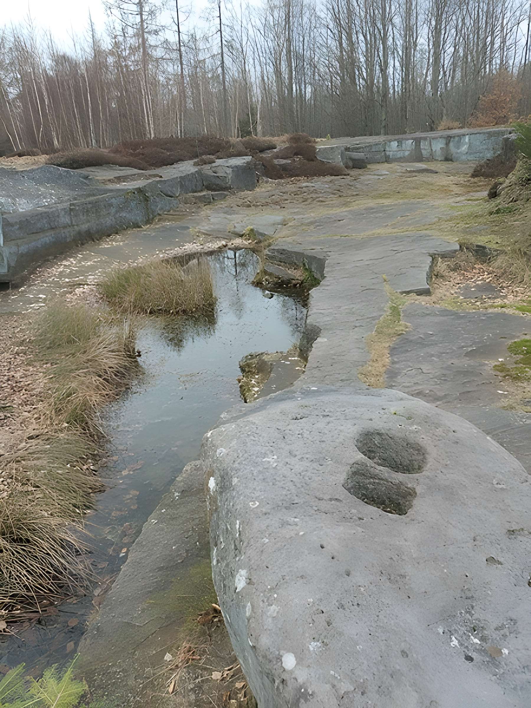 Site archéologique de la Croix-Guillaume à Saint-Quirin