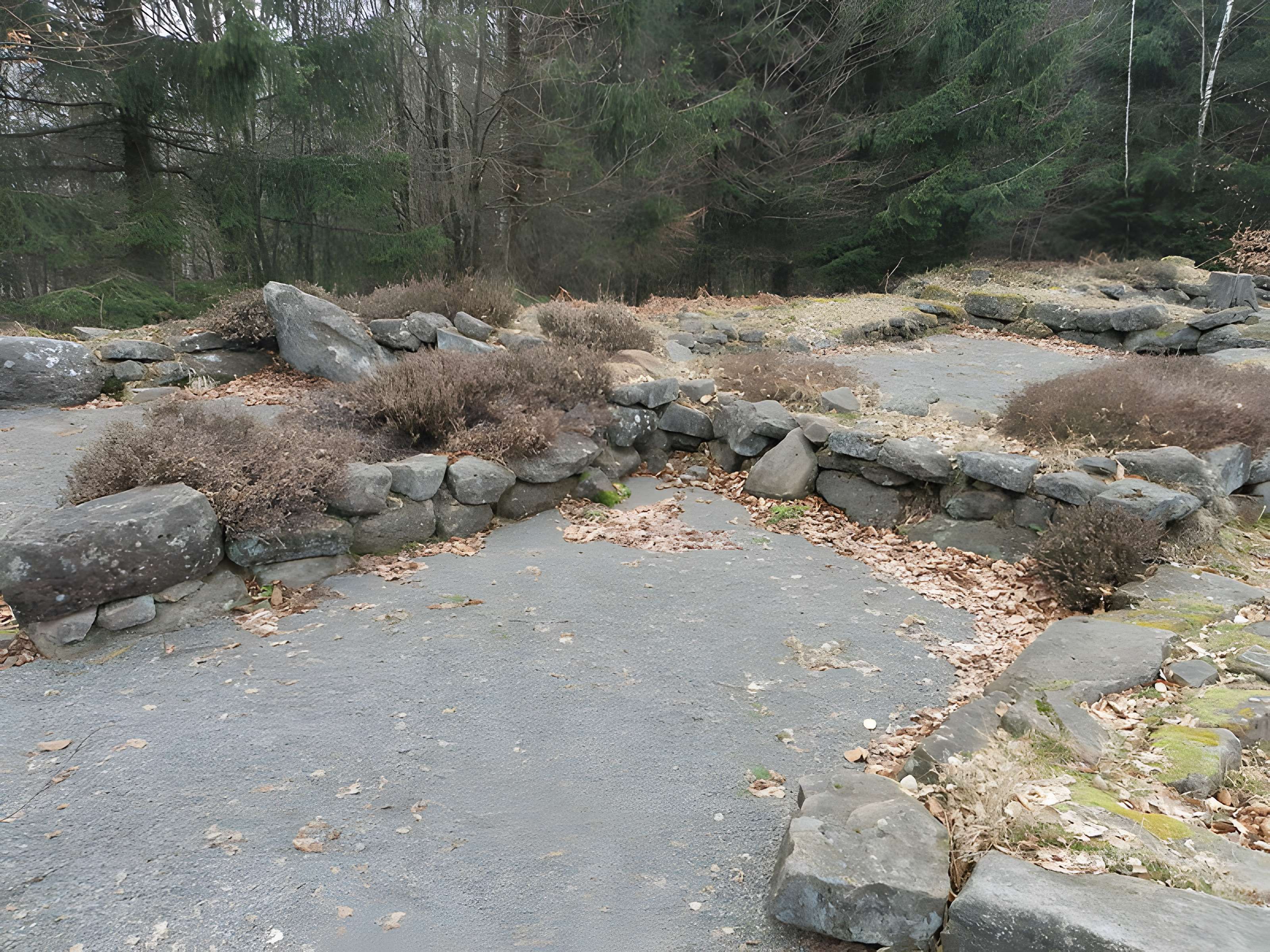 Site archéologique de la Croix-Guillaume à Saint-Quirin