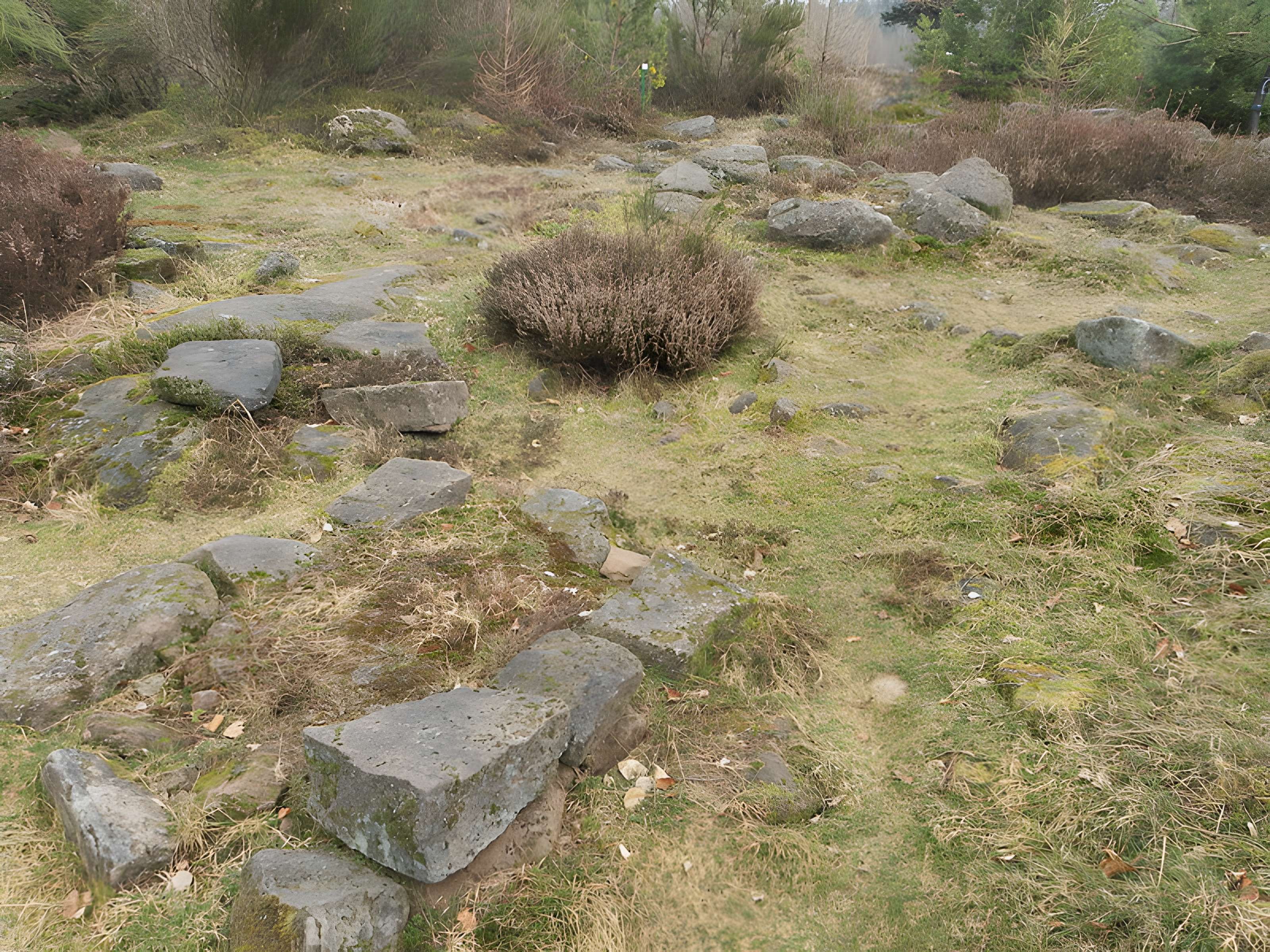 Site archéologique de la Croix-Guillaume à Saint-Quirin
