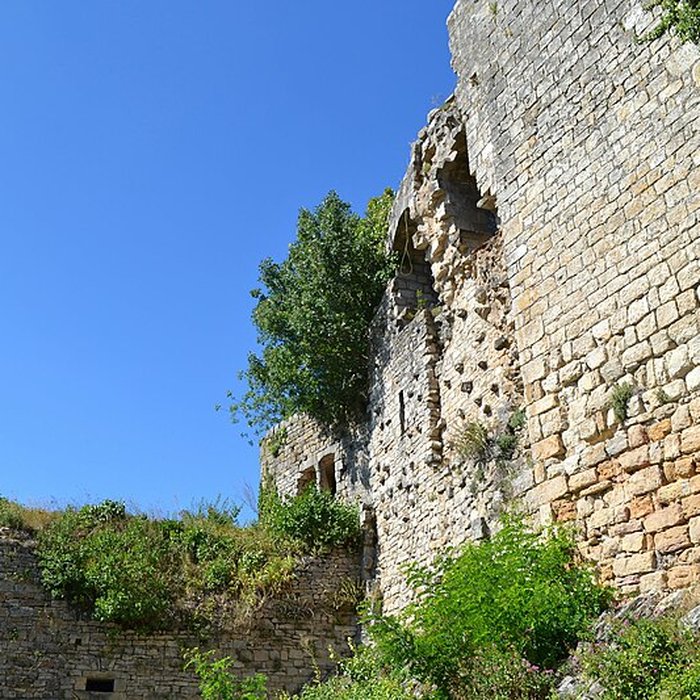 Photo de Les châteaux de Bruniquel
