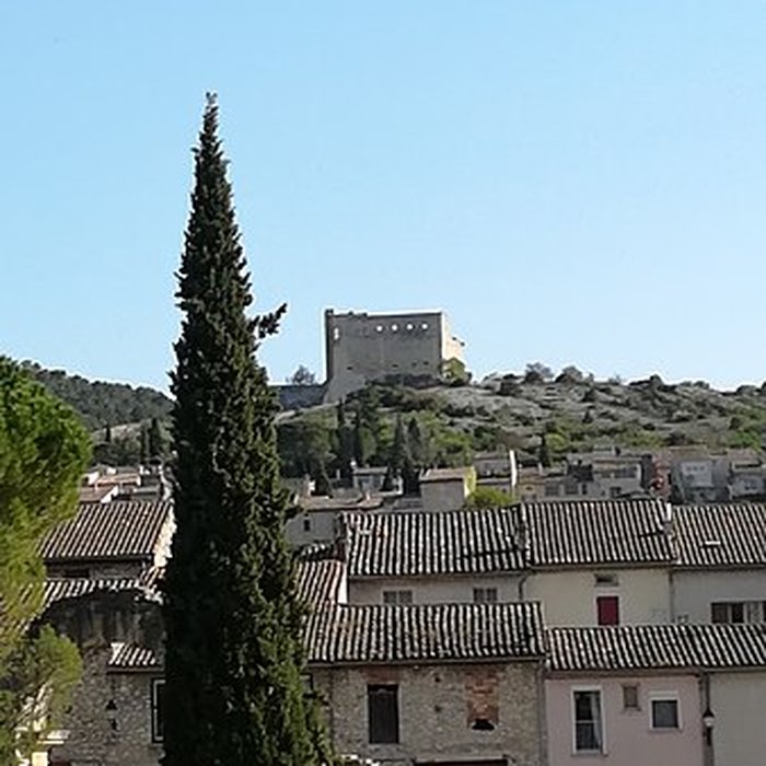 Photo de Site archéologique de la Villasse à Vaison-la-Romaine