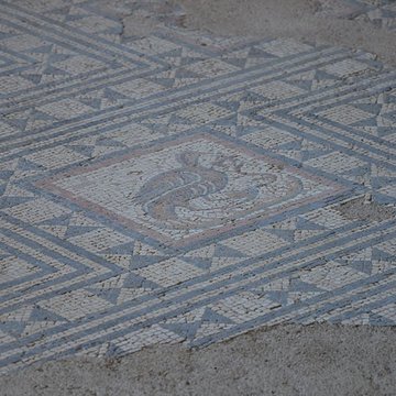 Site archéologique de la Villasse à Vaison-la-Romaine