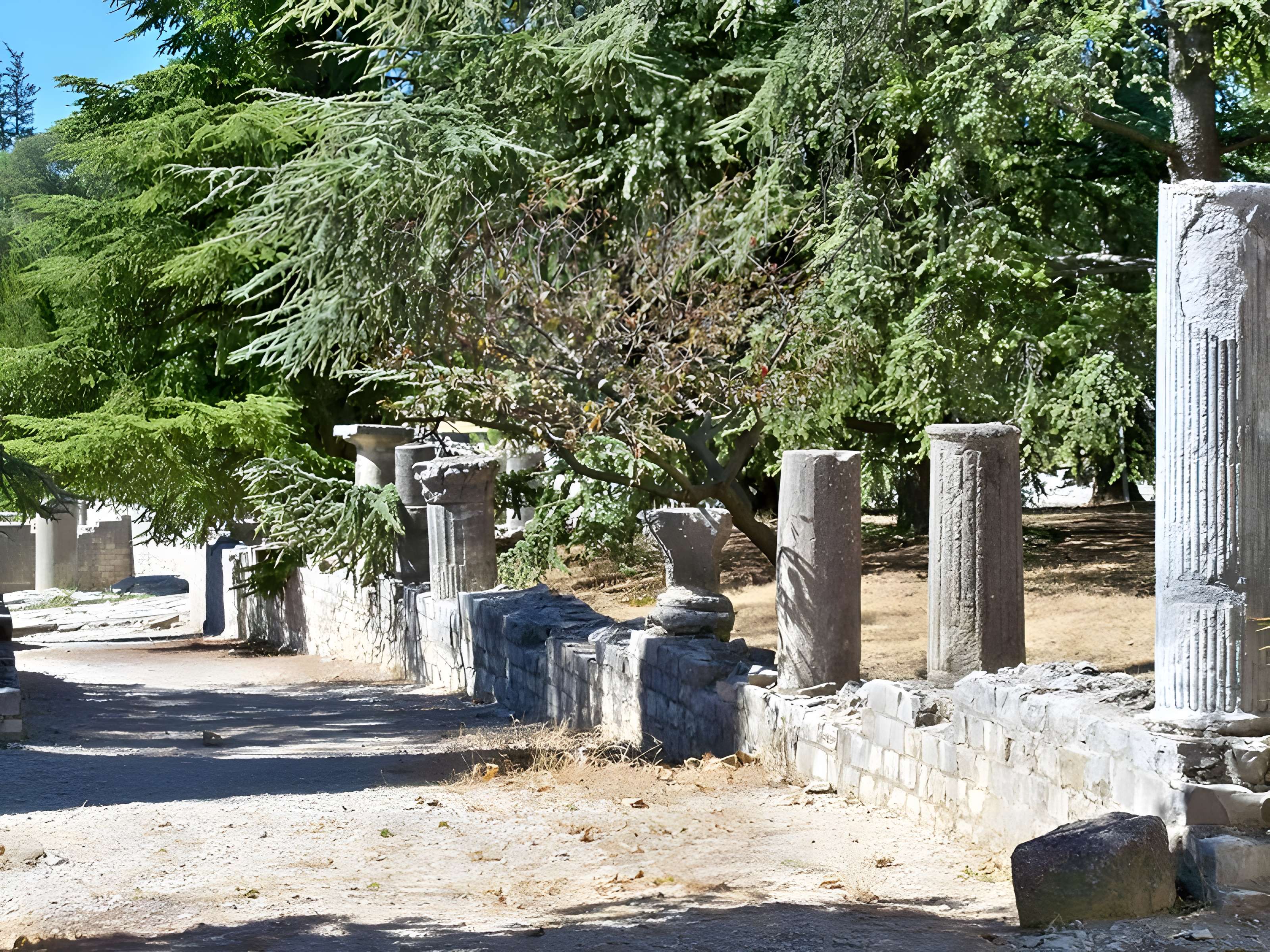 Site archéologique de la Villasse à Vaison-la-Romaine