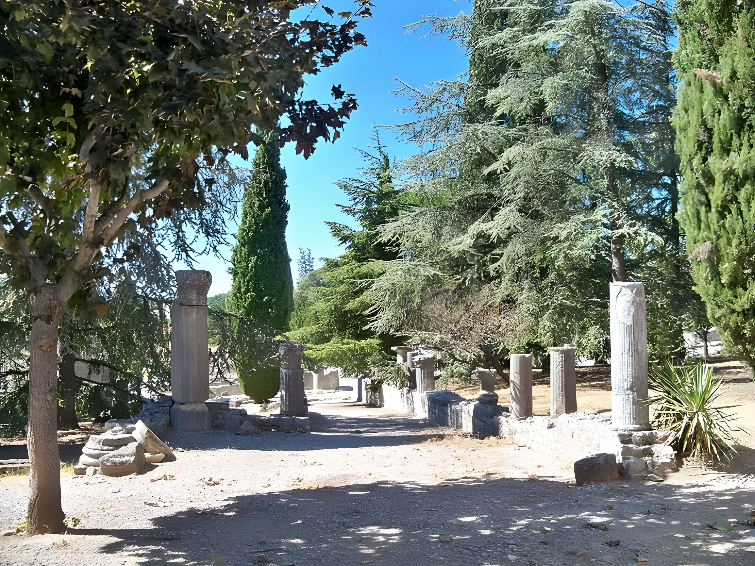 Site archéologique de la Villasse à Vaison-la-Romaine
