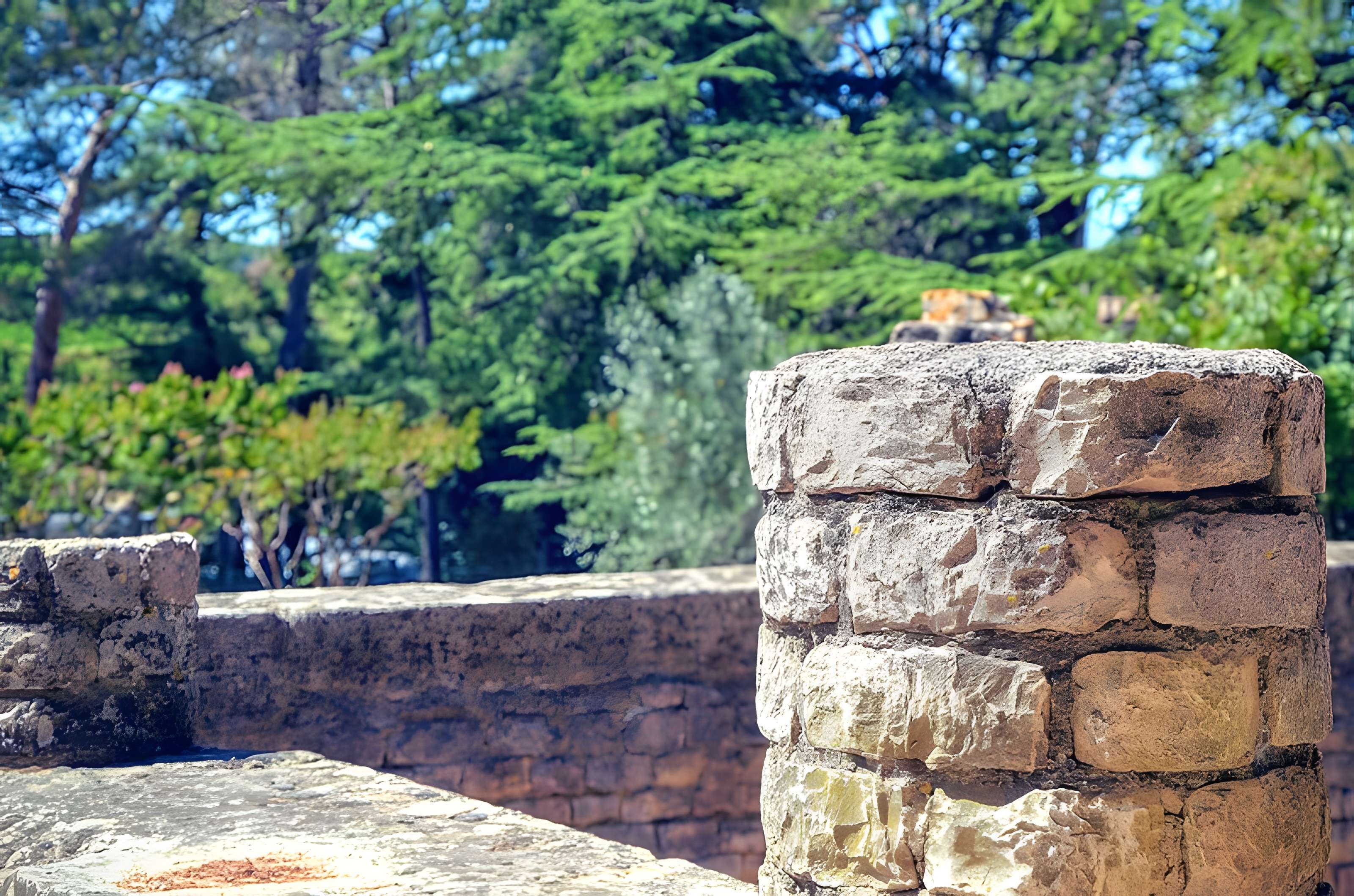 Site archéologique de la Villasse à Vaison-la-Romaine