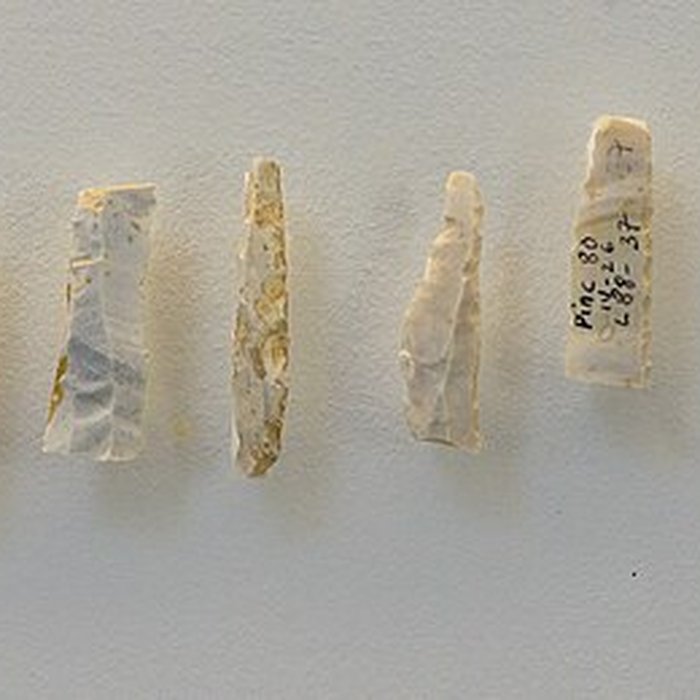 Photo de Site archéologique de Pincevent à La Grande-Paroisse