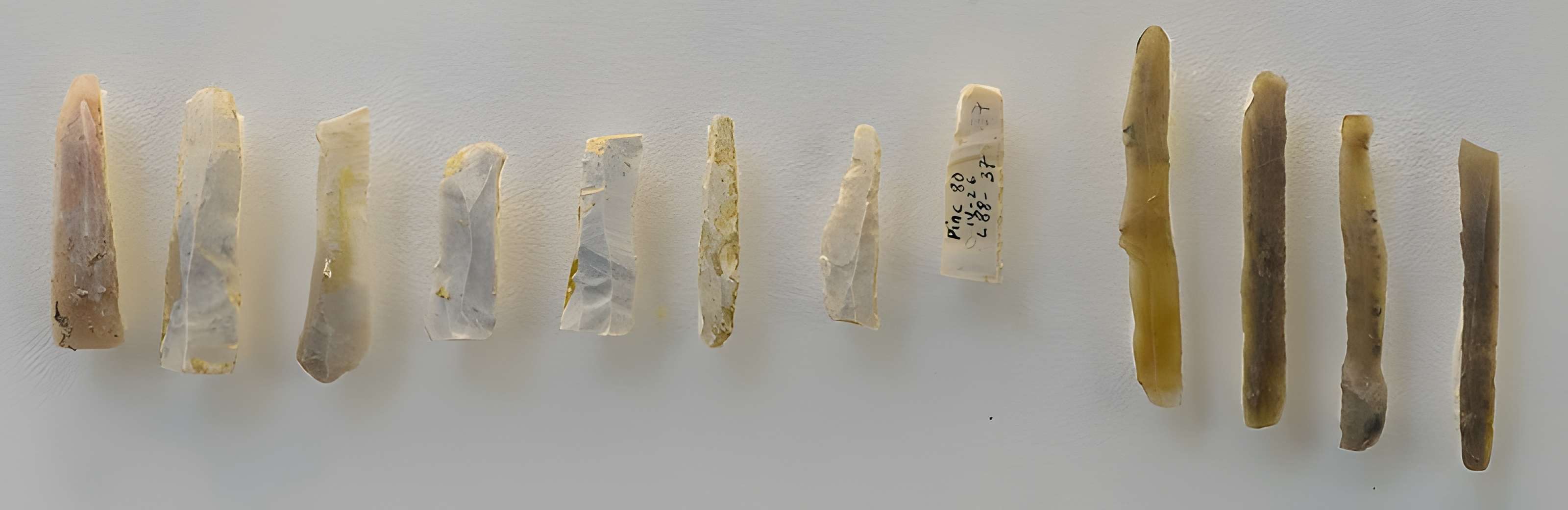 Site archéologique de Pincevent à La Grande-Paroisse