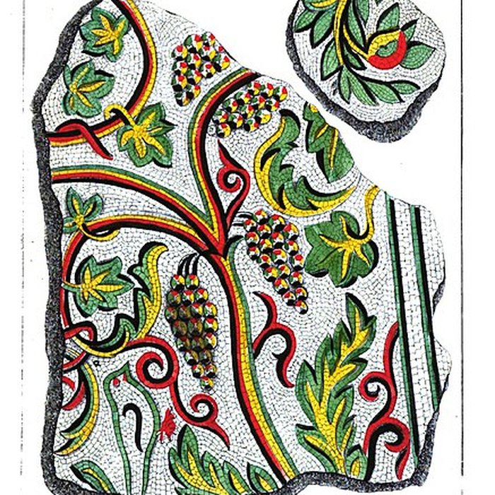 Photo de Site archéologique de Tasta-Elusa à Eauze