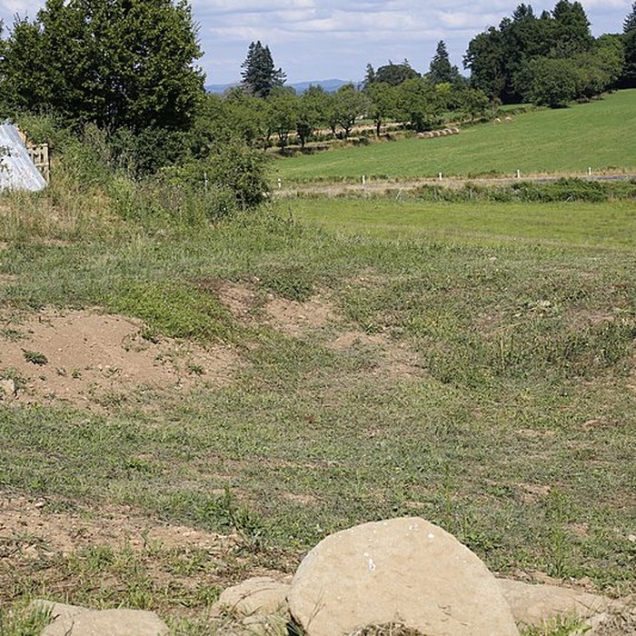 Photo de Site archéologique de Tintignac à Naves