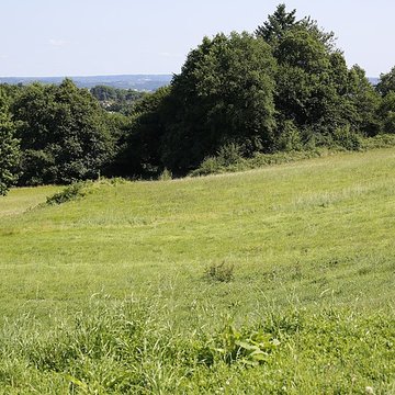 Site archéologique de Tintignac à Naves