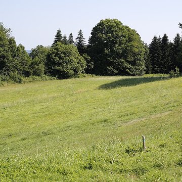 Site archéologique de Tintignac à Naves