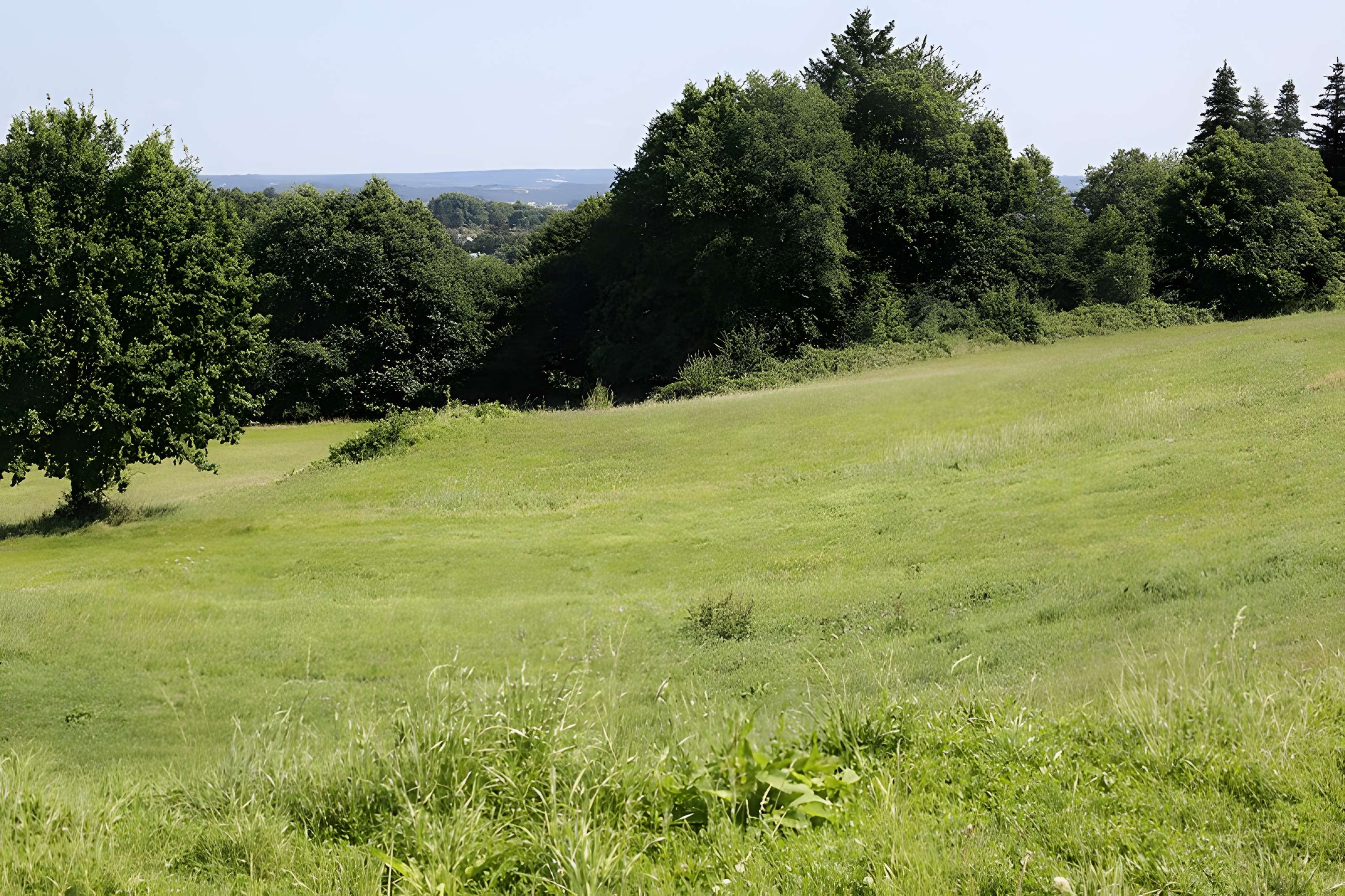 Site archéologique de Tintignac à Naves