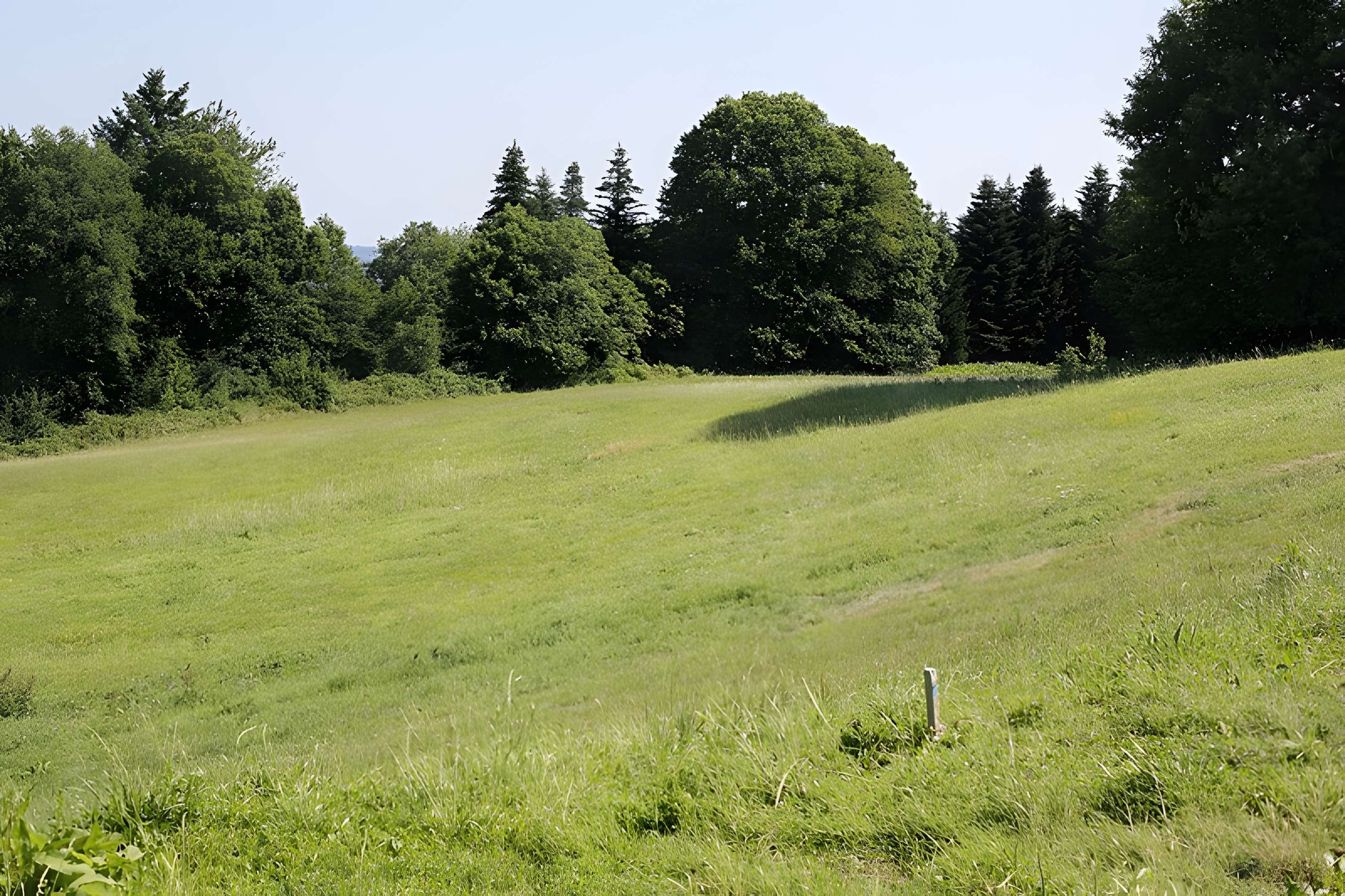 Site archéologique de Tintignac à Naves