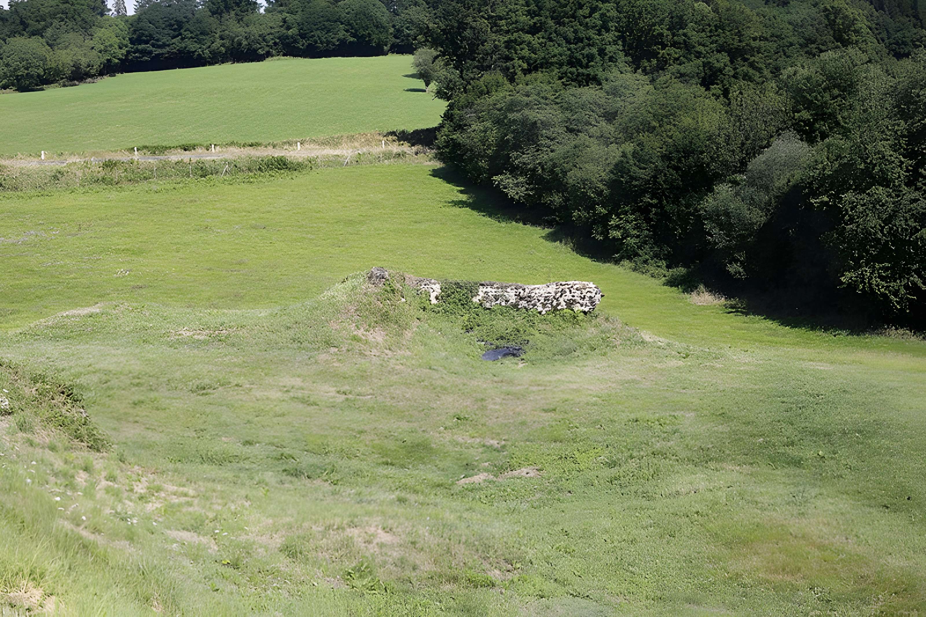 Site archéologique de Tintignac à Naves