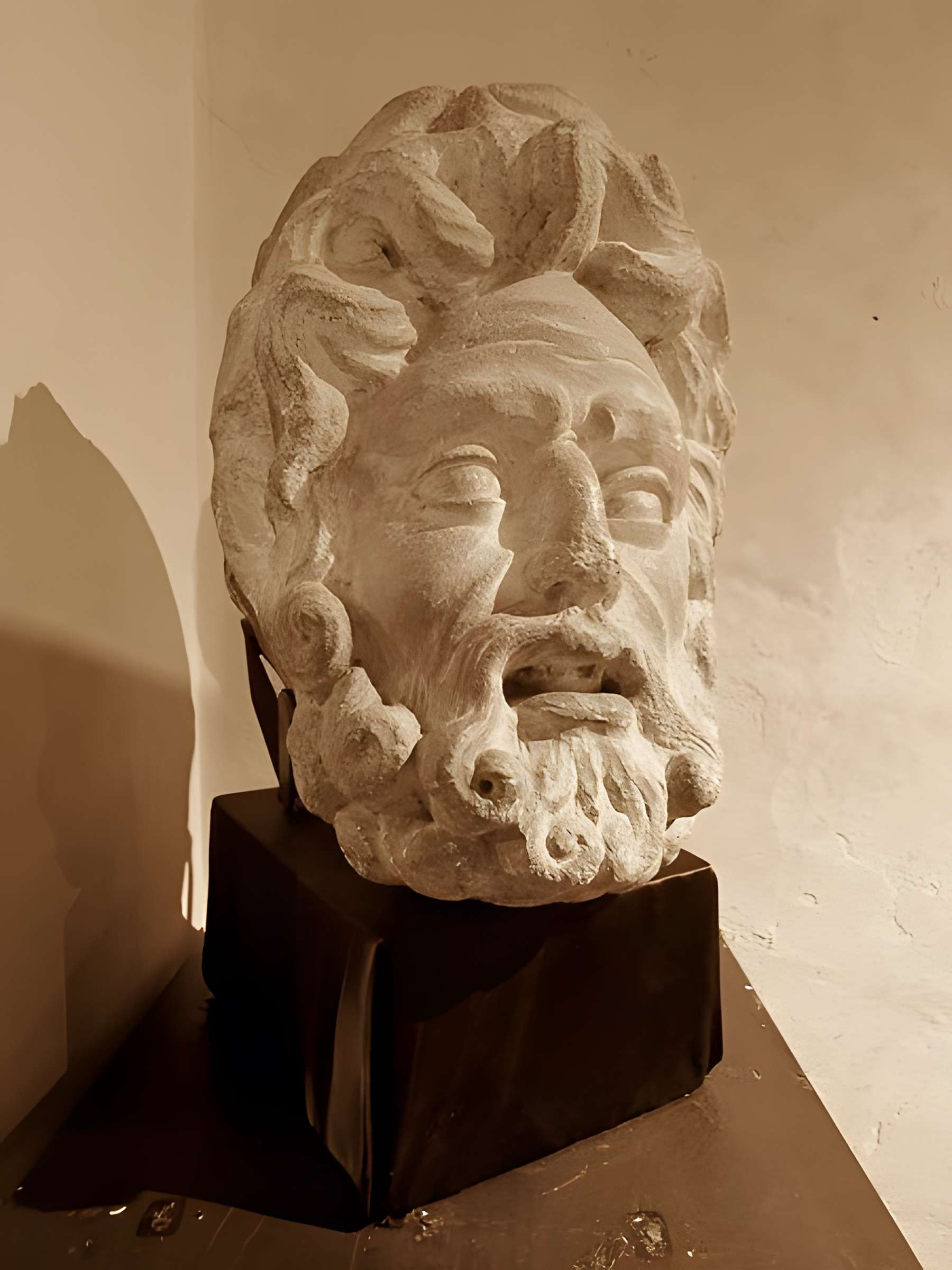 Site archéologique de Tintignac à Naves