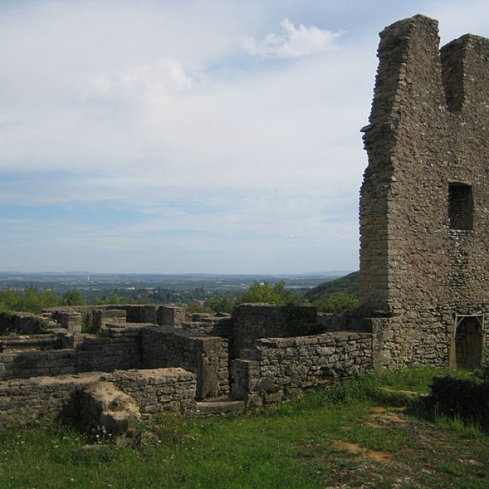 Photo de Site archéologique du Mont-Saint-Germain à Châtel-Saint-Germain