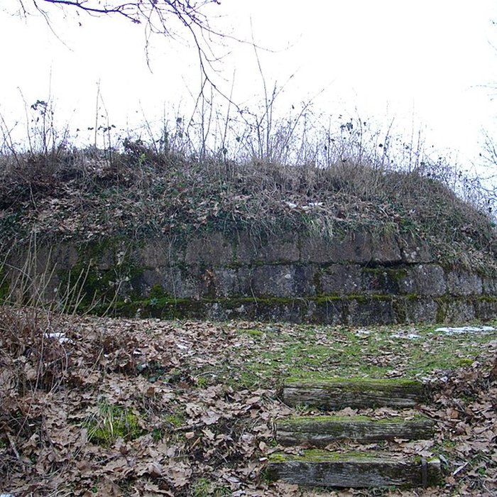 Photo de Site archéologique du Mont-Saint-Germain à Châtel-Saint-Germain