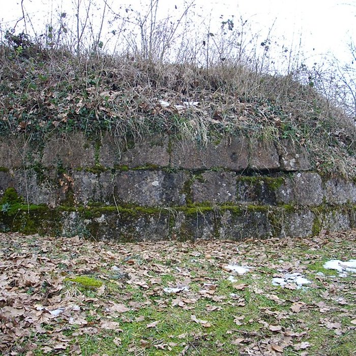 Photo de Site archéologique du Mont-Saint-Germain à Châtel-Saint-Germain