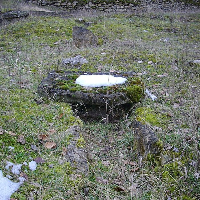 Photo de Site archéologique du Mont-Saint-Germain à Châtel-Saint-Germain