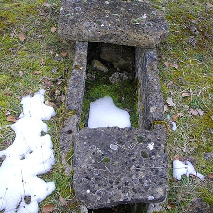 Photo de Site archéologique du Mont-Saint-Germain à Châtel-Saint-Germain