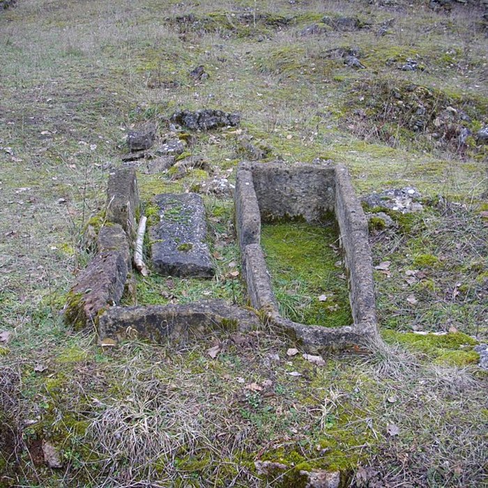 Photo de Site archéologique du Mont-Saint-Germain à Châtel-Saint-Germain