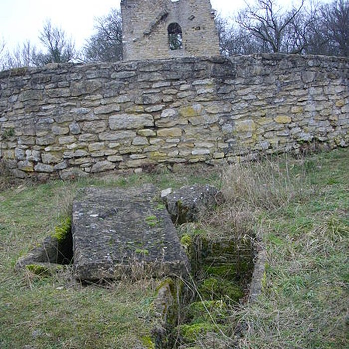 Photo de Site archéologique du Mont-Saint-Germain à Châtel-Saint-Germain