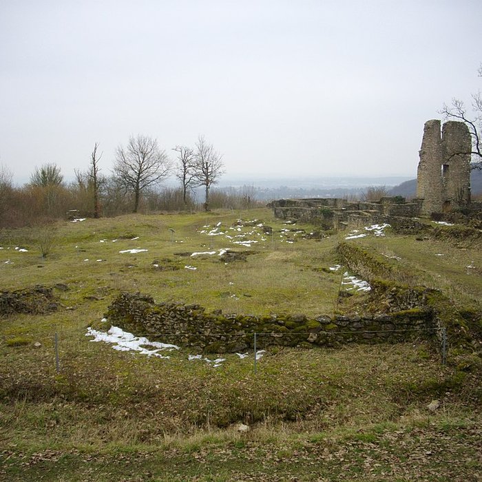 Photo de Site archéologique du Mont-Saint-Germain à Châtel-Saint-Germain