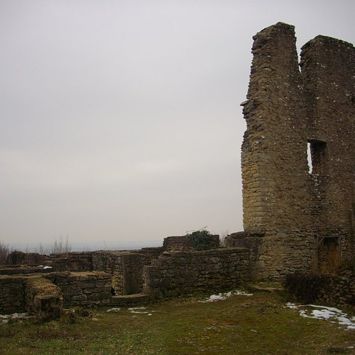 Photo de Site archéologique du Mont-Saint-Germain à Châtel-Saint-Germain