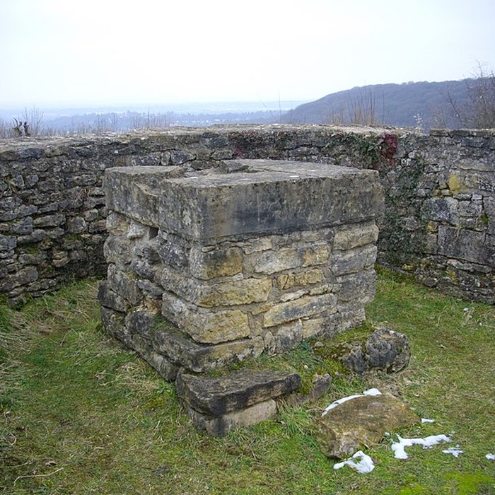 Photo de Site archéologique du Mont-Saint-Germain à Châtel-Saint-Germain