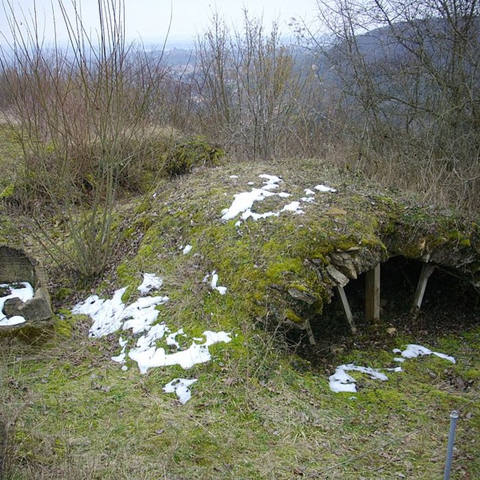 Photo de Site archéologique du Mont-Saint-Germain à Châtel-Saint-Germain
