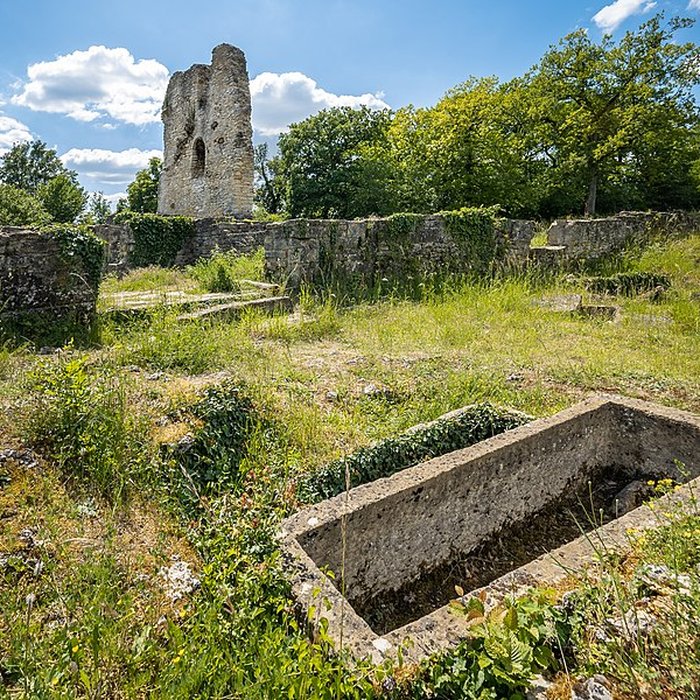 Photo de Site archéologique du Mont-Saint-Germain à Châtel-Saint-Germain
