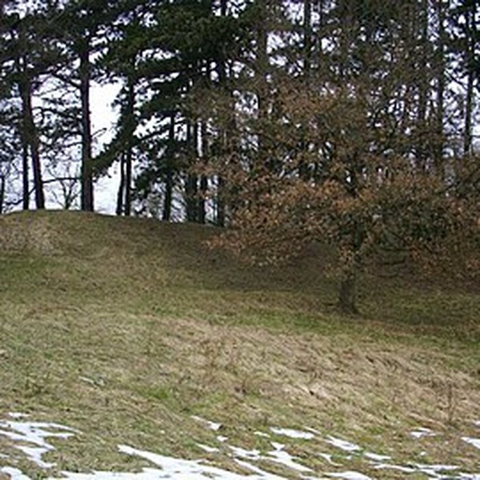 Photo de Site archéologique du Mont-Saint-Germain à Châtel-Saint-Germain