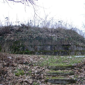 Site archéologique du Mont-Saint-Germain à Châtel-Saint-Germain