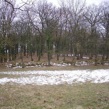 Site archéologique du Mont-Saint-Germain à Châtel-Saint-Germain