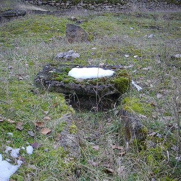Site archéologique du Mont-Saint-Germain à Châtel-Saint-Germain