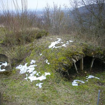 Site archéologique du Mont-Saint-Germain à Châtel-Saint-Germain