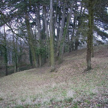 Site archéologique du Mont-Saint-Germain à Châtel-Saint-Germain