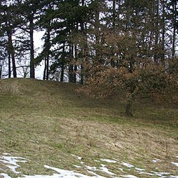 Site archéologique du Mont-Saint-Germain à Châtel-Saint-Germain