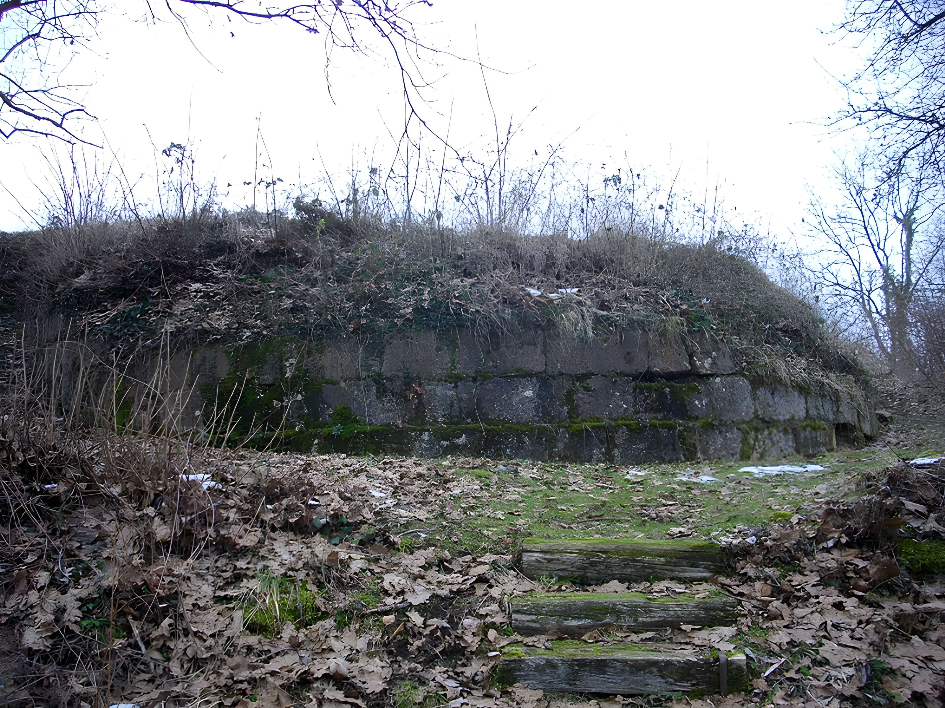 Site archéologique du Mont-Saint-Germain à Châtel-Saint-Germain