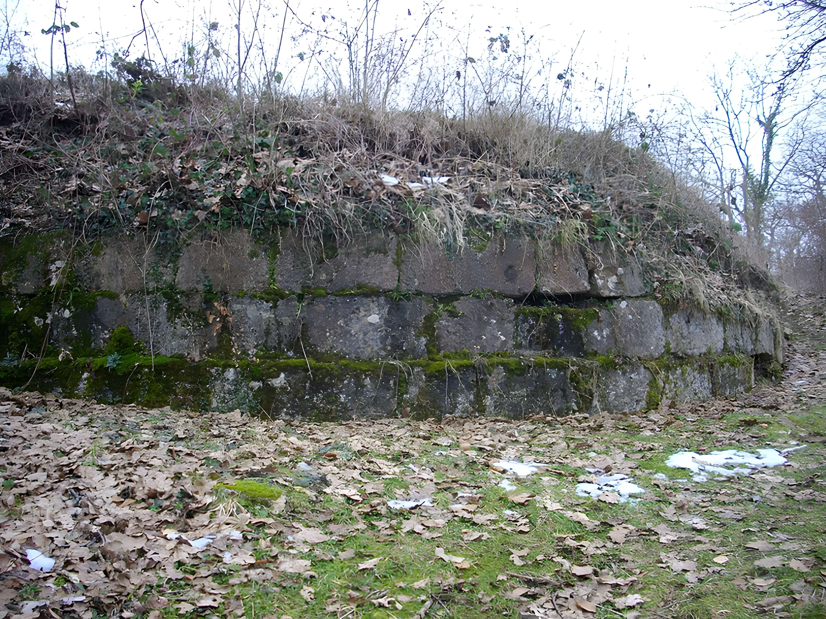 Site archéologique du Mont-Saint-Germain à Châtel-Saint-Germain