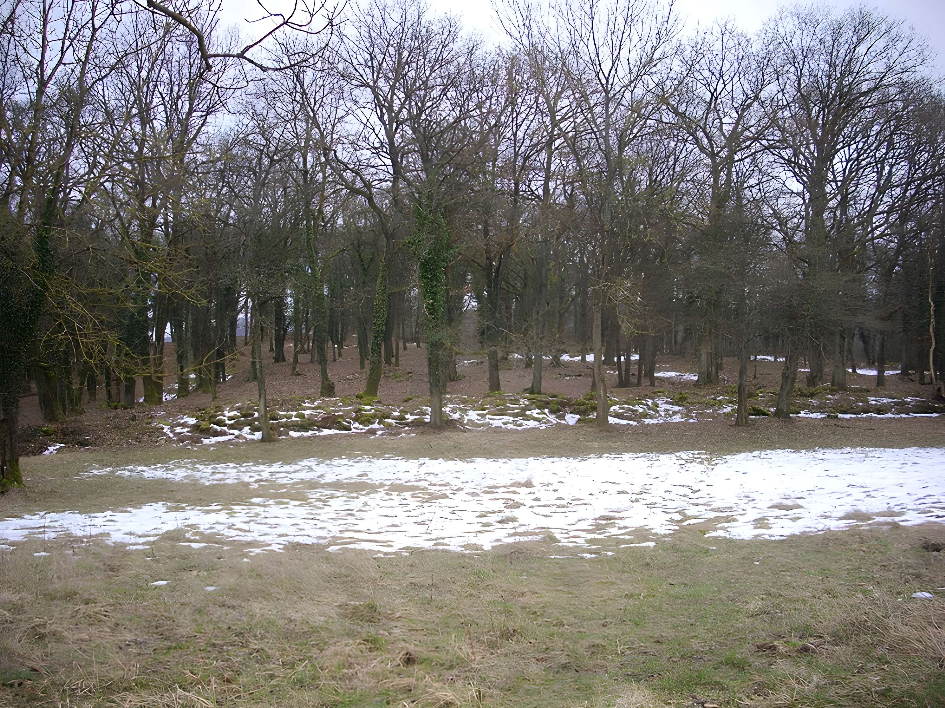 Site archéologique du Mont-Saint-Germain à Châtel-Saint-Germain