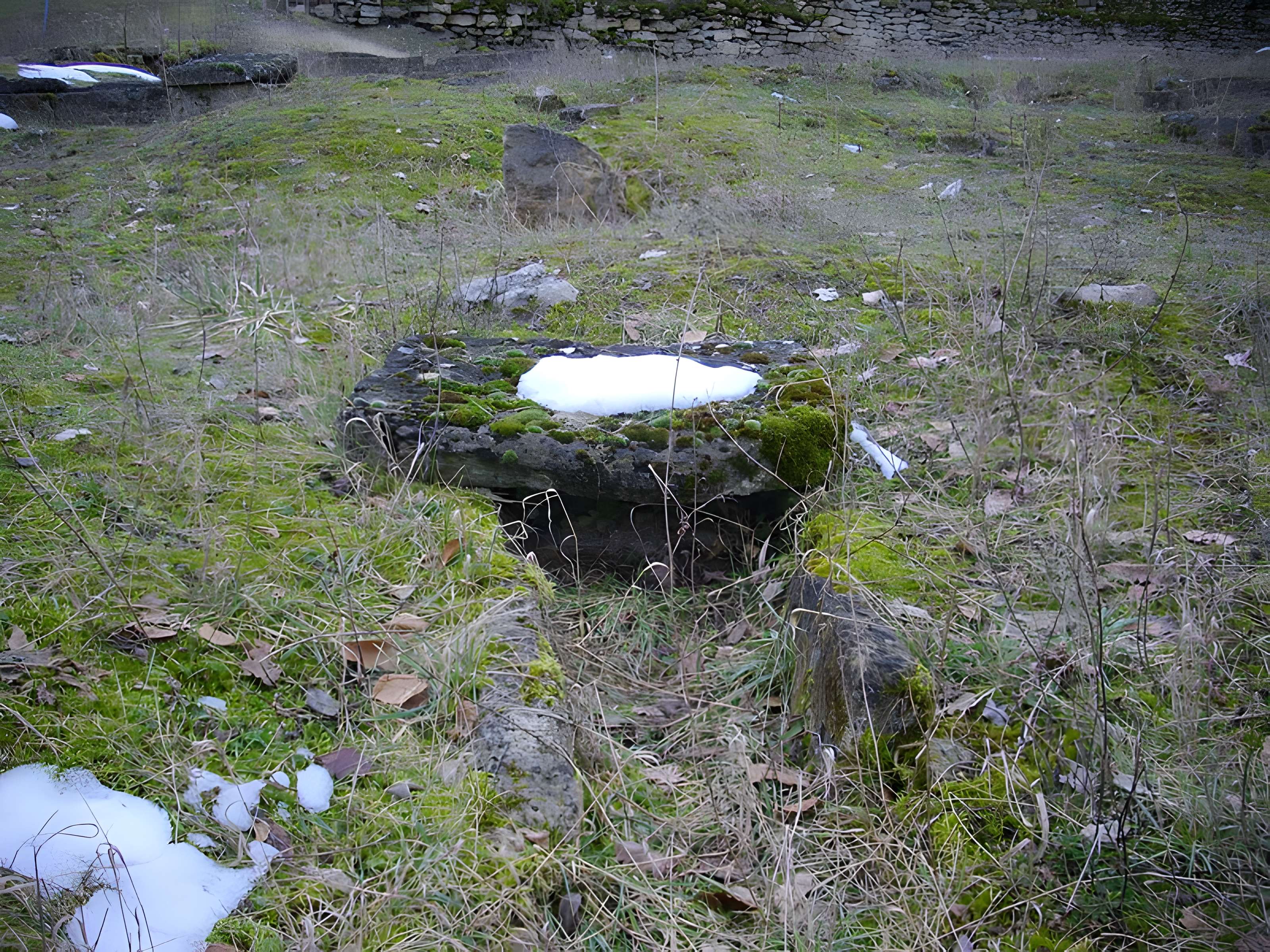 Site archéologique du Mont-Saint-Germain à Châtel-Saint-Germain