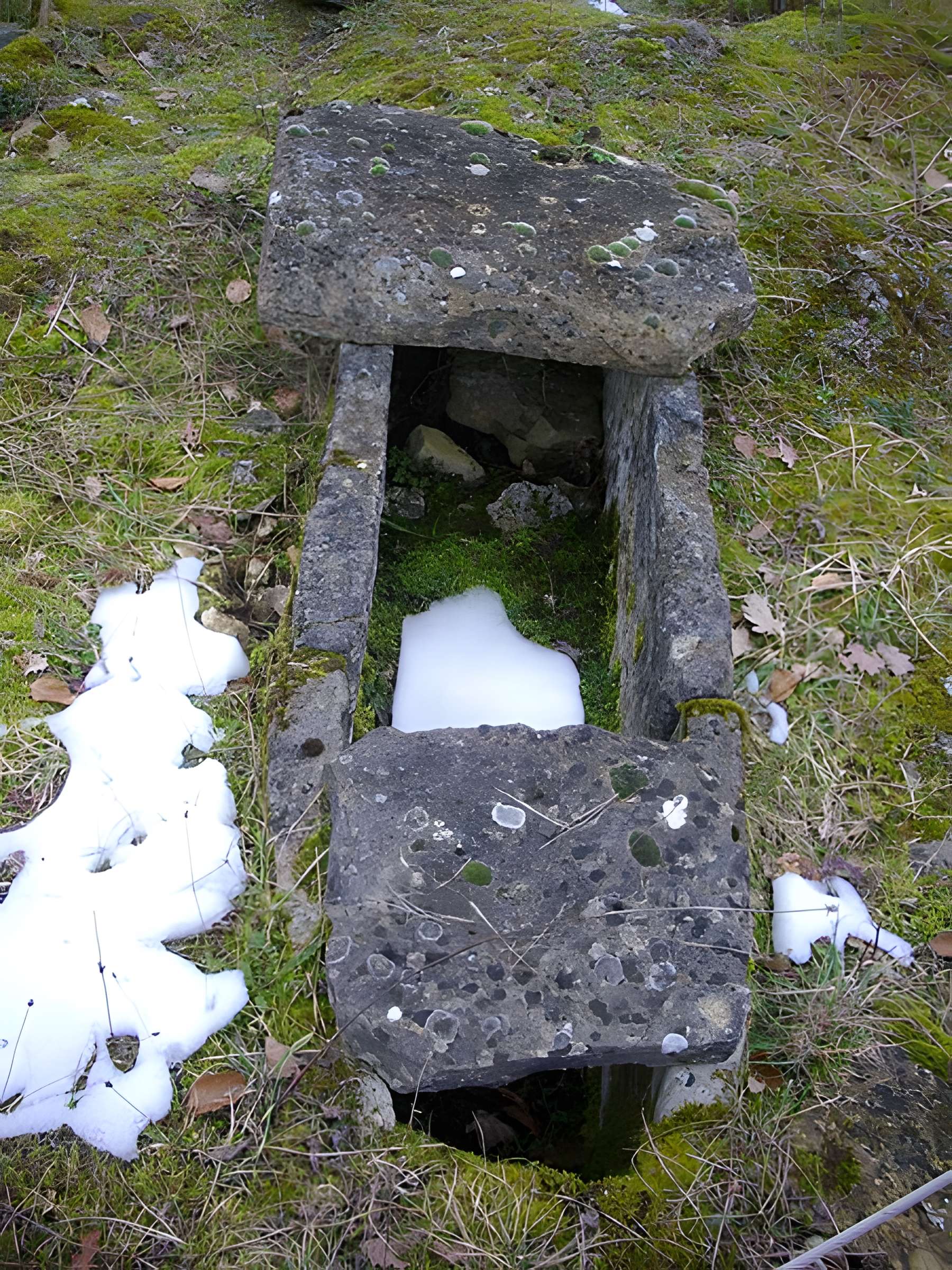 Site archéologique du Mont-Saint-Germain à Châtel-Saint-Germain