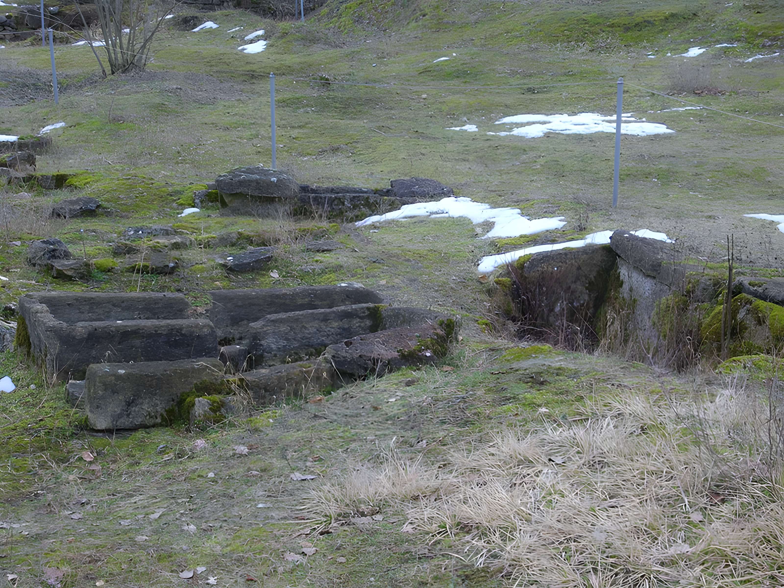 Site archéologique du Mont-Saint-Germain à Châtel-Saint-Germain